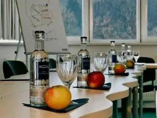 Le Village Hotell 3*